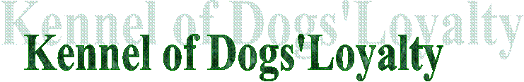 Kennel of Dogs'Loyalty